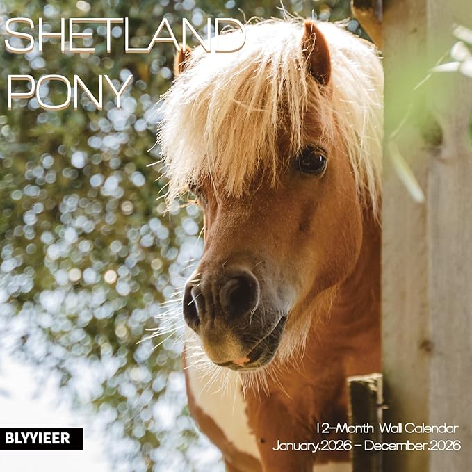 2026 Wall Calendar,Calendar 2026,Shetland Pony Cattle Monthly Wall Calendar, 12" x 24" Open,Family Planner Calendar, Home & Office Organizer,Hangable
