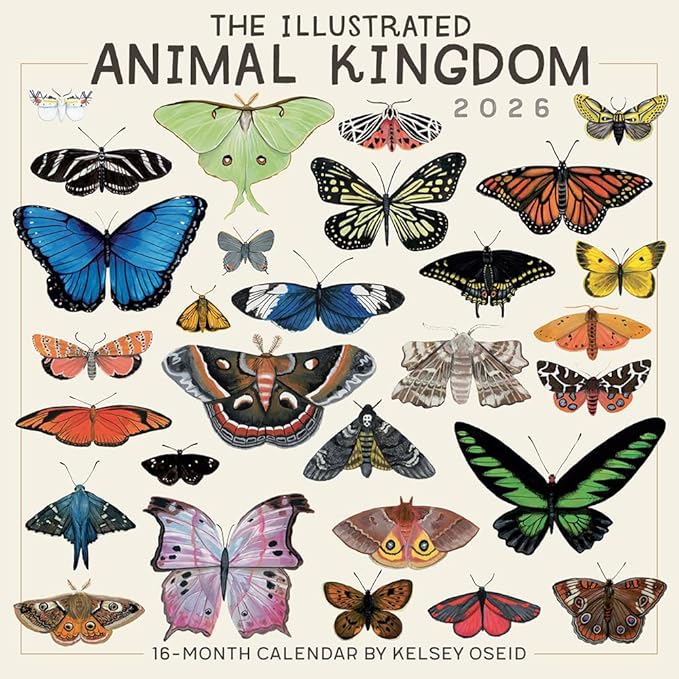 The Illustrated Animal Kingdom 2026 Wall Calendar, 12-Month Animal Art & Nature Calendar by Kelsey Oseid, 12" x 12", Large Grids for Home or Office