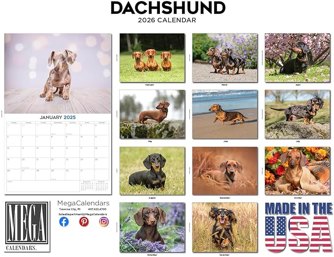 2025 2026 Dachshund Calendar - Dog Breed Monthly Wall Calendar - 12" x 18" Open - Thick No-Bleed Paper - Giftable - Academic Teacher's Planner Calendar Organizing & Planning - Made in USA