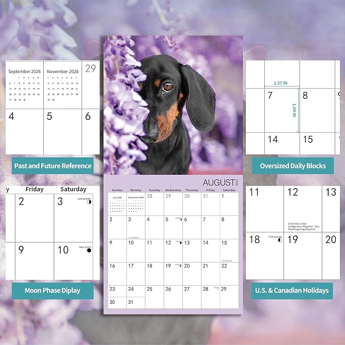 2026 Wall Calendar,Dachshund Wall Calendar, 12" x 24" Open,Family Planner Calendar Organizer with Dachshund Images, for Dogs Lovers