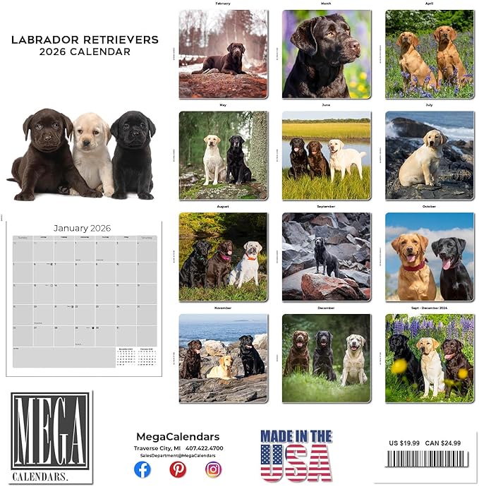Labrador Retriever Calendar 2026 – 16-Month Dog Breed Wall Calendar by MegaCalendars – Black, Brown & Yellow Labs – Large Daily Blocks, Thick No-Bleed Paper, Made in USA