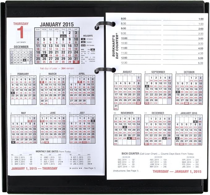 AT-A-GLANCE Burkhart's Day Counter Desk Calendar Refill 2015, 4.5 x 7.38 Inch Page Size (E712-50)