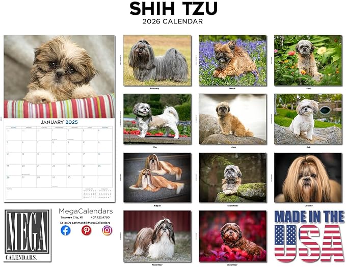 2025 2026 Shih Tzu Calendar - Dog Breed Monthly Wall Calendar - 12" x 18" Open - Thick No-Bleed Paper - Giftable - Academic Teacher's Planner Calendar Organizing & Planning - Made in USA