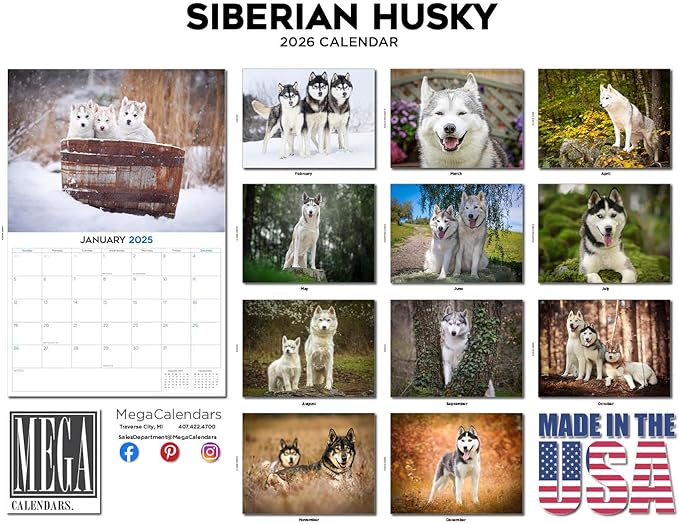 2025 2026 Siberian Husky Calendar - Dog Breed Monthly Wall Calendar - 12" x 18" Open - Thick No-Bleed Paper - Giftable - Academic Teacher's Planner Calendar Organizing & Planning - Made in USA