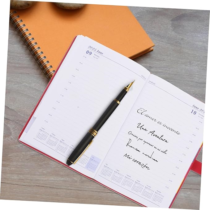 KALLORY Daily Planner with Tabs Monthly Calendar for Students Professionals Thick Paper Stylish Design Important Notes Section Management Tool