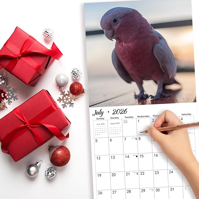 2026 Wall Calendar,Cockatoo Calendar 2026,OWL Monthly Wall Calendar, 12" x 24" Open,Family Planner Calendar, Home & Office Organizer,Hangable