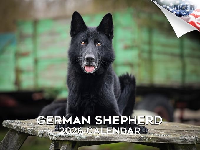 2025 2026 German Shepherd Calendar - Dog Breed Monthly Wall Calendar - 12" x 18" Open - Thick No-Bleed Paper - Giftable - Academic Teacher's Planner Calendar Organizing & Planning - Made in USA