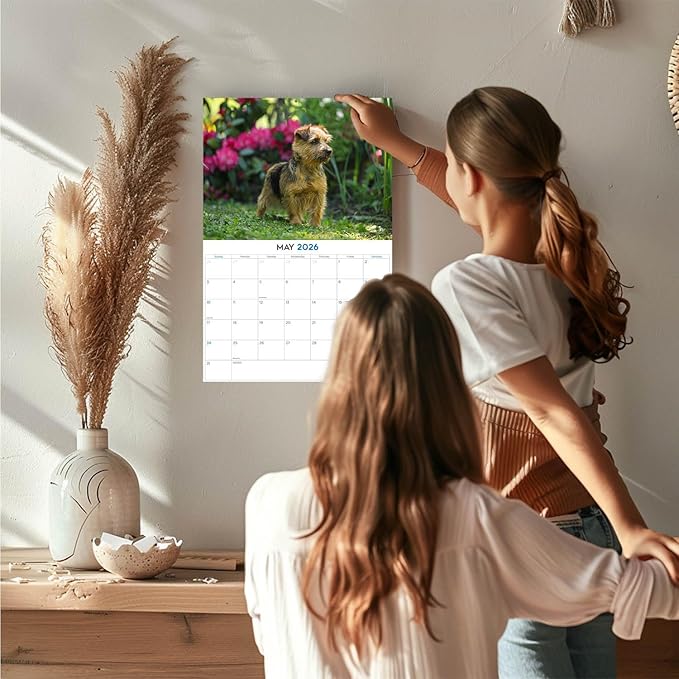 2025 2026 Norfolk/Norwich Calendar - Dog Breed Monthly Wall Calendar - 12" x 18" Open - Thick No-Bleed Paper - Giftable - Academic Teacher's Planner Calendar Organizing & Planning - Made in USA