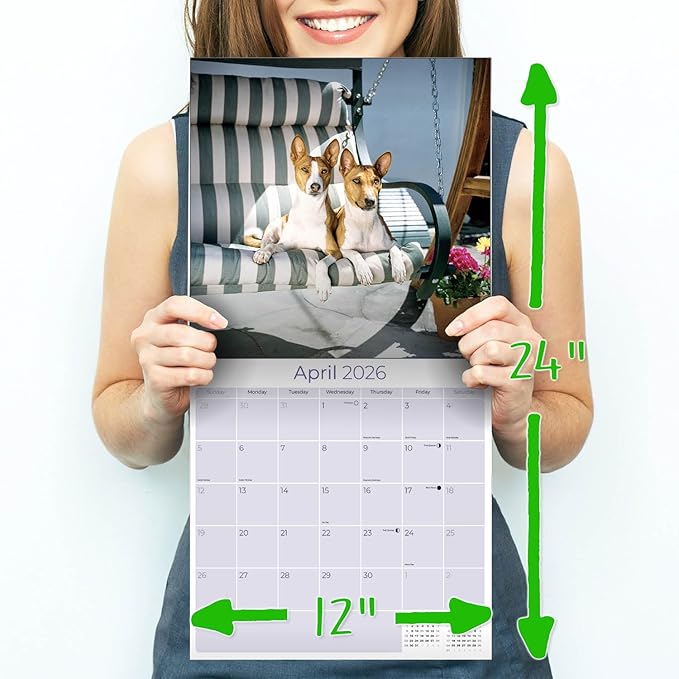 Basenji Calendar 2026 by MegaCalendars – Monthly Dog Breed Wall Calendar, Made in USA