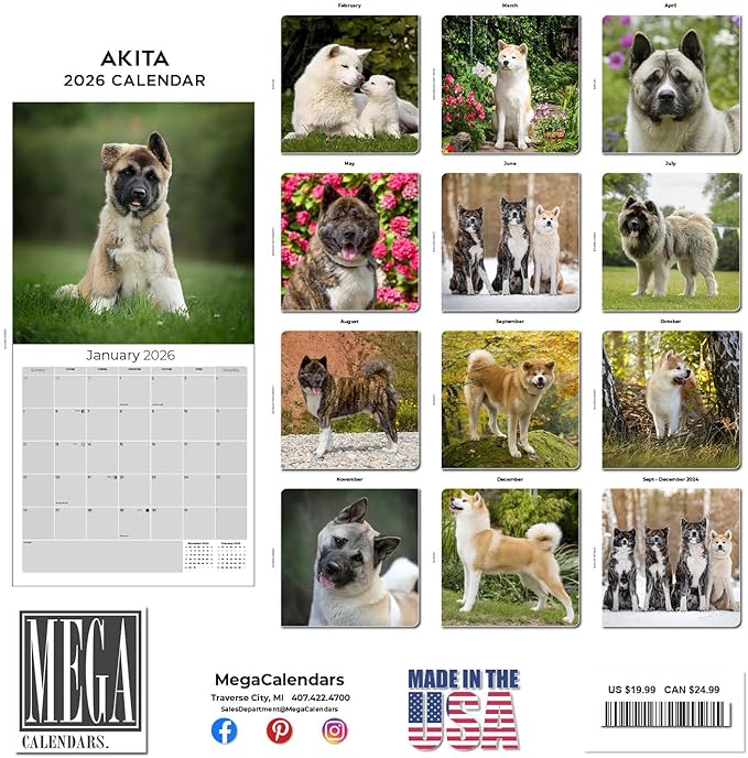 Akita Calendar 2026 by MegaCalendars – Monthly Dog Breed Wall Calendar, Made in USA