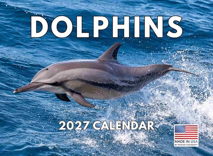 Dolphin Calendar 2027 Monthly Wall Calender 12 Month