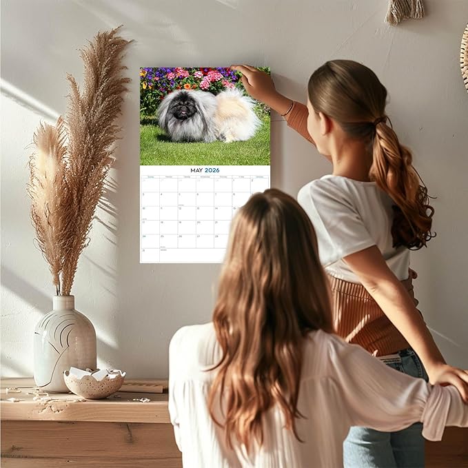 2025 2026 Pekingese Calendar - Dog Breed Monthly Wall Calendar - 12" x 18" Open - Thick No-Bleed Paper - Giftable - Academic Teacher's Planner Calendar Organizing & Planning - Made in USA