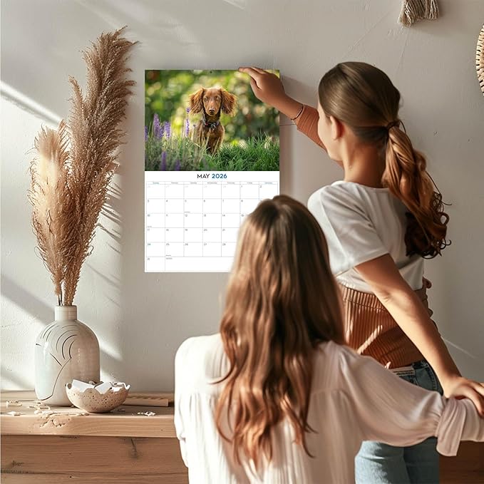 2025 2026 Dachshund Longhaired Calendar - Dog Breed Monthly Wall Calendar - 12" x 18" Open - Thick No-Bleed Paper - Giftable - Academic Teacher's Planner Calendar Organizing & Planning - Made in USA