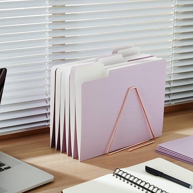 Y YOMA 12 Pack Colored File Folders Letter Size Gradient File Folder with 1/3-Cut Tab Cute Pretty Decorative Heavyweight Filing Folder File Organizers for Office School Home Desktop, Dusty Purple