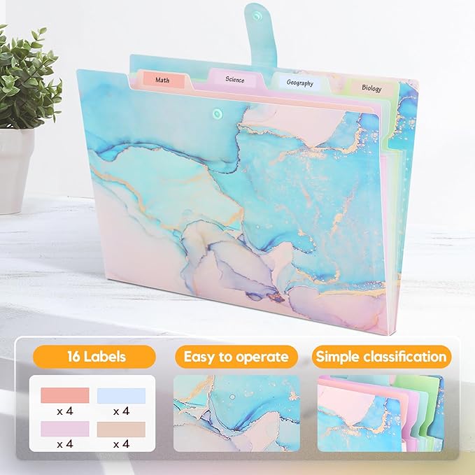 Expanding File Folder,Folders for Important Documents Organizer,Accordion File Organizer,Aesthetic Folders for School Students,5 Pockets File Folder for Home Bills,Pack of 2(Pink+Cyan)