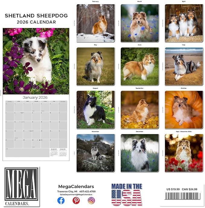 Shetland Sheepdog Calendar 2026 by MegaCalendars – Monthly Dog Breed Wall Calendar, Made in USA