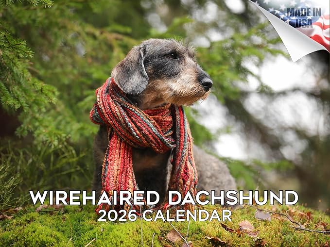 2025 2026 Dachshund Wirehaired Calendar - Dog Breed Monthly Wall Calendar - 12" x 18" Open - Thick No-Bleed Paper - Giftable - Academic Teacher's Planner Calendar Organizing & Planning - Made in USA
