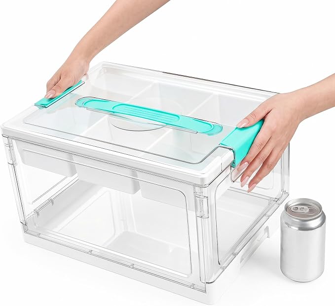 Tebery 2 Tier Plastic Craft Storage Organizer, Clear Foldable Arts Supply Container Box with Adjustable Dividers, Portable Sewing Tools Bin with Lids and Handle for Home, Office, Travel