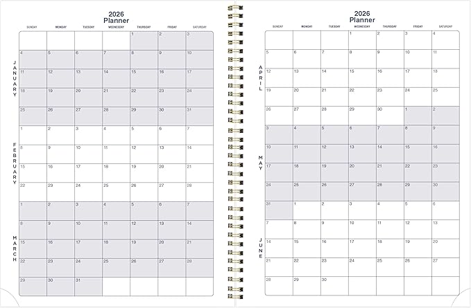 Blueline® 2026 Monthly Planner, 14 Months, December 2025 to January 2027, Gold Twin-Wire Binding, 11" x 8.5", Minimalist (C701PT.ASX-26)
