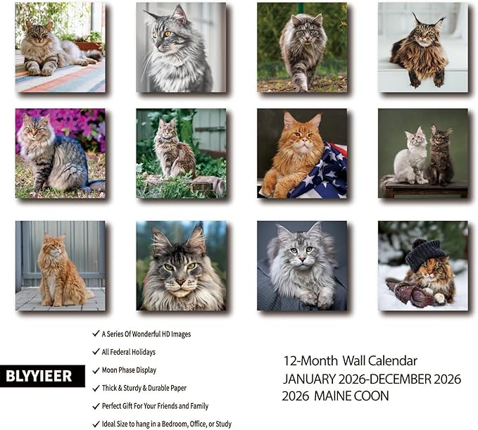 2026 Wall Calendar,Cat Calendar 2026,Maine Coon Monthly Wall Calendar, 12" x 24" Open,Family Planner Calendar Organizer with Maine Coon Images, for Cats Lovers