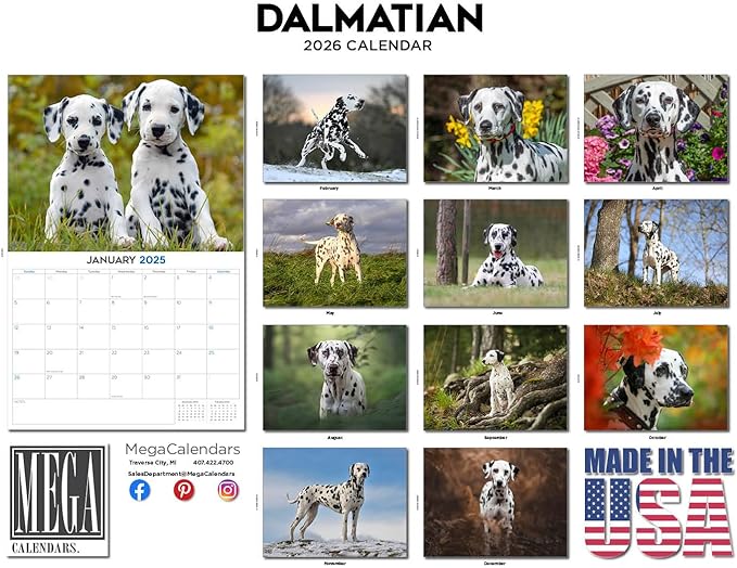 2025 2026 Dalmatian Calendar - Dog Breed Monthly Wall Calendar - 12" x 18" Open - Thick No-Bleed Paper - Giftable - Academic Teacher's Planner Calendar Organizing & Planning - Made in USA