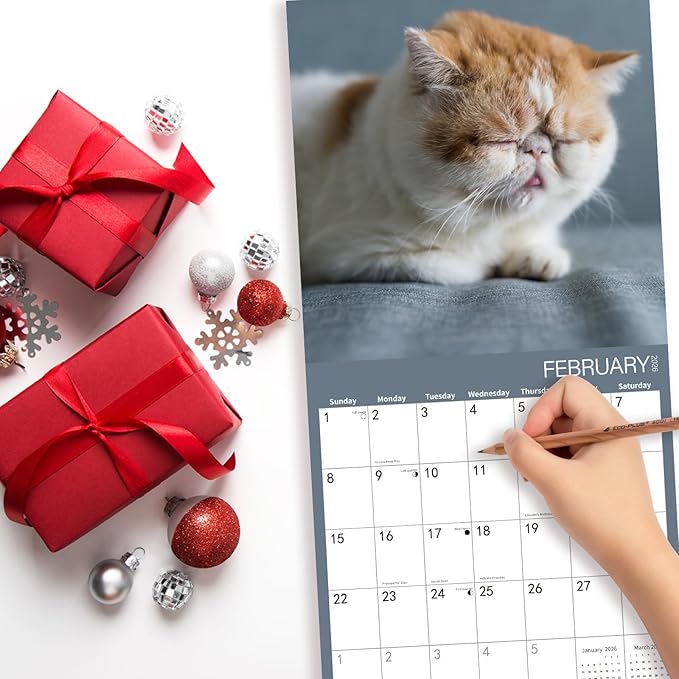 2026 Wall Calendar,Cat Calendar 2026,So Tired cat Monthly Wall Calendar, 12" x 24" Open,Family Planner Calendar Organizer with Cat Tired Funny Expression Moment Images, for Cats Lovers