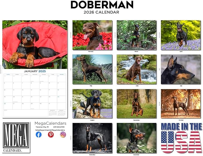 2025 2026 Doberman Calendar - Dog Breed Monthly Wall Calendar - 12" x 18" Open - Thick No-Bleed Paper - Giftable - Academic Teacher's Planner Calendar Organizing & Planning - Made in USA