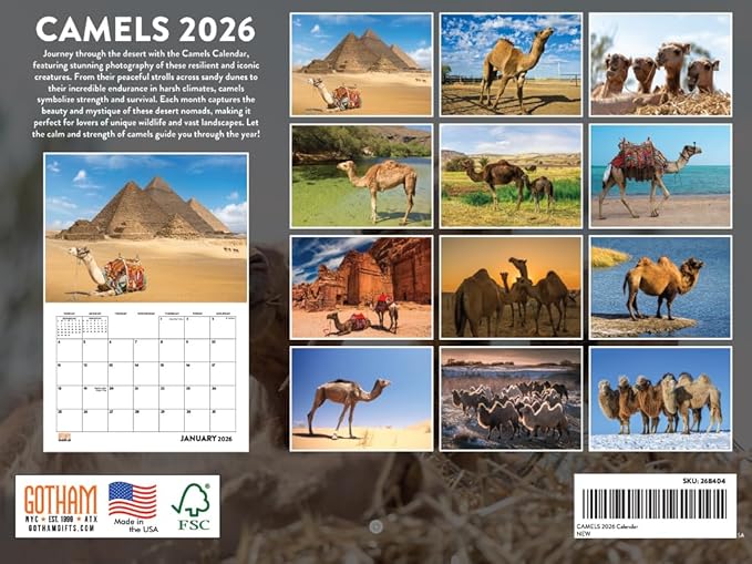 Camel Calendar 2026 Monthly Wall Calender 12 Month | American Made In The USA