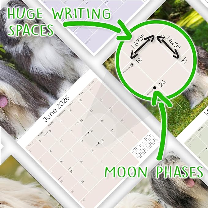 Bearded Collie Calendar 2026 by MegaCalendars – Monthly Dog Breed Wall Calendar, Made in USA