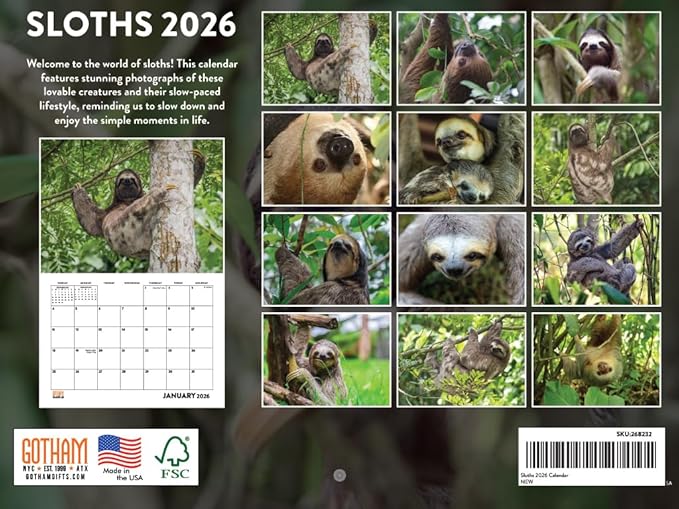 Sloth Calendar 2026 Wall 12 Month Sloths Gifts For Sloth Lovers Women Men Monthly Calender| American Made In The USA