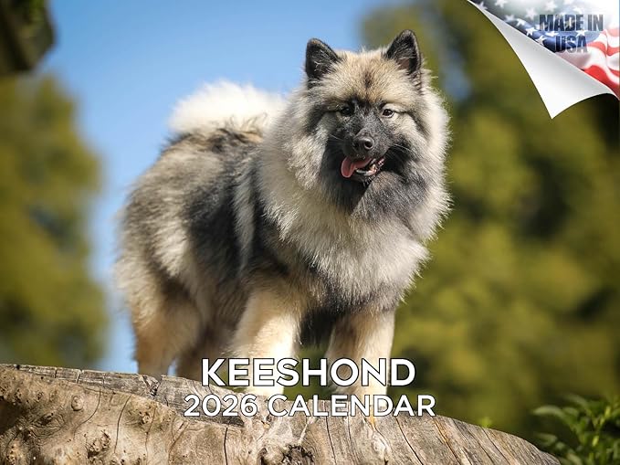 2025 2026 Keeshond Calendar - Dog Breed Monthly Wall Calendar - 12" x 18" Open - Thick No-Bleed Paper - Giftable - Academic Teacher's Planner Calendar Organizing & Planning - Made in USA