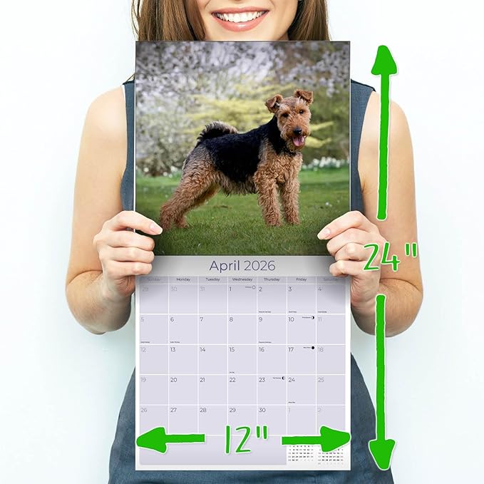 2025 2026 Welsh Terrier Calendar - Dog Breed Monthly Wall Calendar - 12" x 24" Open - Thick No-Bleed Paper - Giftable - Academic Teacher's Planner Calendar Organizing & Planning