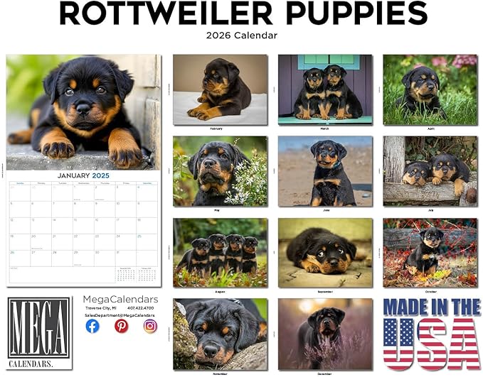 2025 2026 Rottweiler Puppies Calendar - Dog Breed Monthly Wall Calendar - 12" x 18" Open - Thick No-Bleed Paper - Giftable - Academic Teacher's Planner Calendar Organizing & Planning