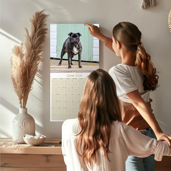 Pug Calendar 2026 by MegaCalendars – Monthly Dog Breed Wall Calendar, Made in USA