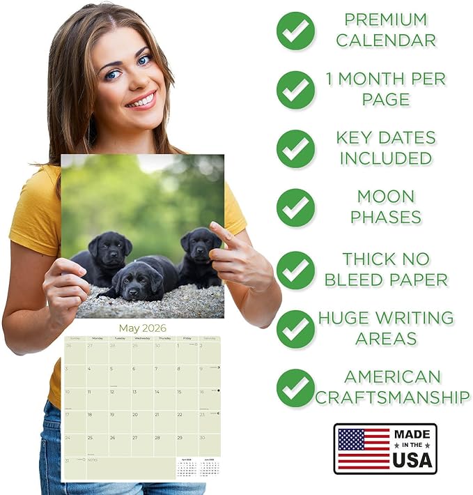 Labrador Pups Black Calendar 2026 by MegaCalendars – Monthly Dog Breed Wall Calendar, Made in USA