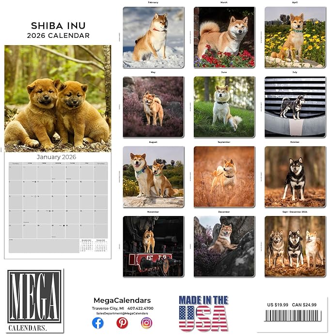 Shiba Inu Calendar 2026 by MegaCalendars – Monthly Dog Breed Wall Calendar, Made in USA
