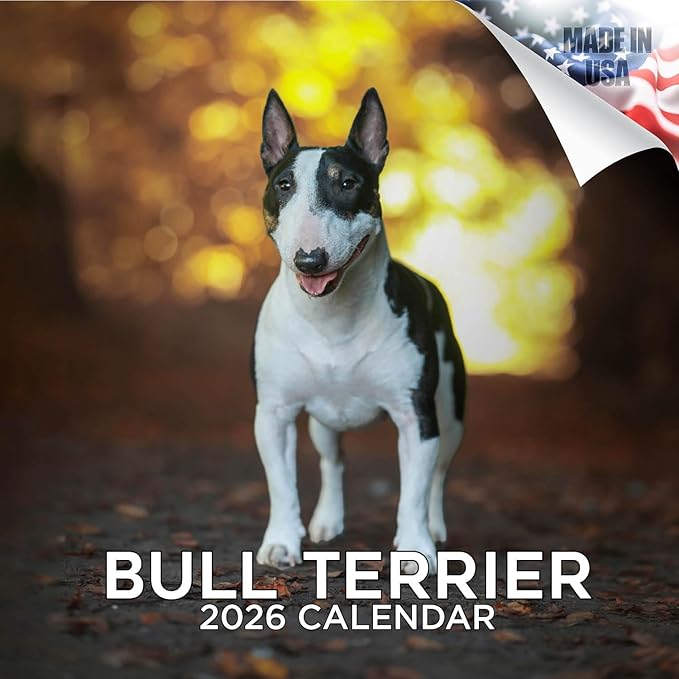 Bull Terrier Calendar 2026 by MegaCalendars – Monthly Dog Breed Wall Calendar, Made in USA
