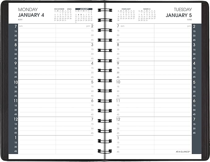 AT-A-GLANCE 2027 Appointment Book Planner, Daily, 5" x 8", Quarter-Hour, Black (708000527)