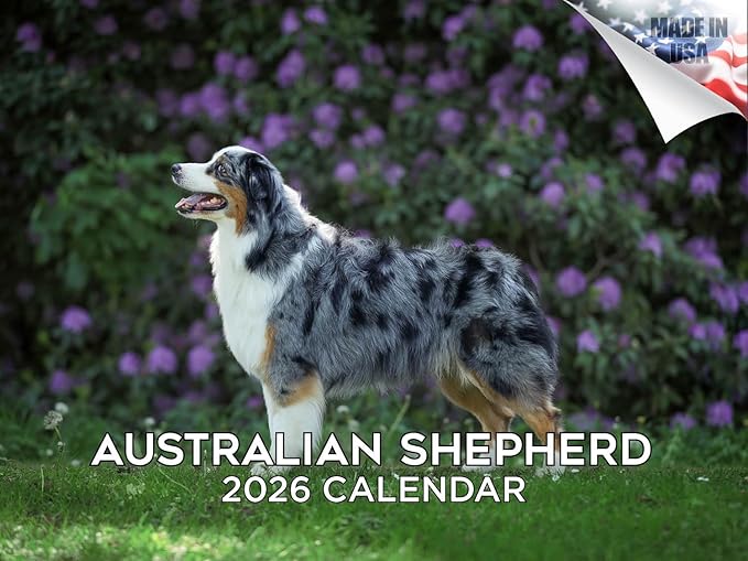 2025 2026 Australian Shepherd Calendar - Dog Breed Monthly Wall Calendar - 12" x 18" Open - Thick No-Bleed Paper - Giftable - Academic Teacher's Planner Calendar Organizing & Planning - Made in USA