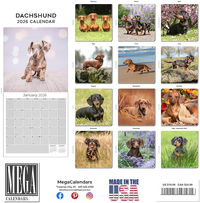 Dachshund Calendar 2026 by MegaCalendars – Monthly Dog Breed Wall Calendar, Made in USA