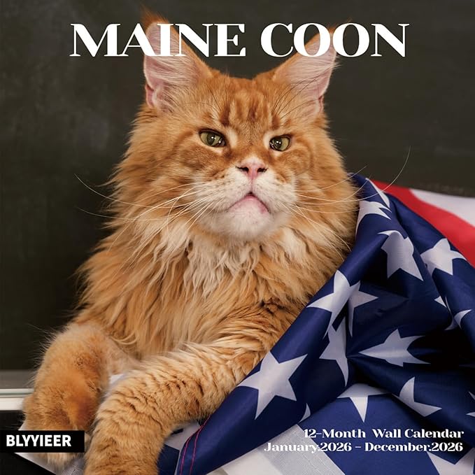 2026 Wall Calendar,Cat Calendar 2026,Maine Coon Monthly Wall Calendar, 12" x 24" Open,Family Planner Calendar Organizer with Maine Coon Images, for Cats Lovers