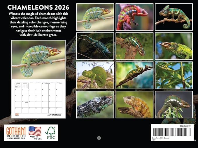Chameleon Calendar 2026 Monthly Wall Calender 12 Month | American Made In The USA