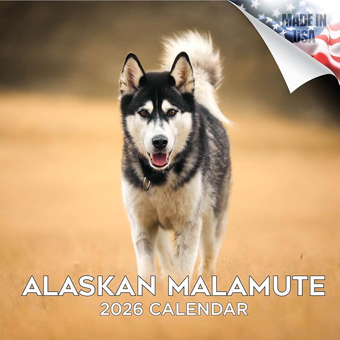 Alaskan Malamute Calendar 2026 by MegaCalendars – Monthly Dog Breed Wall Calendar, Made in USA