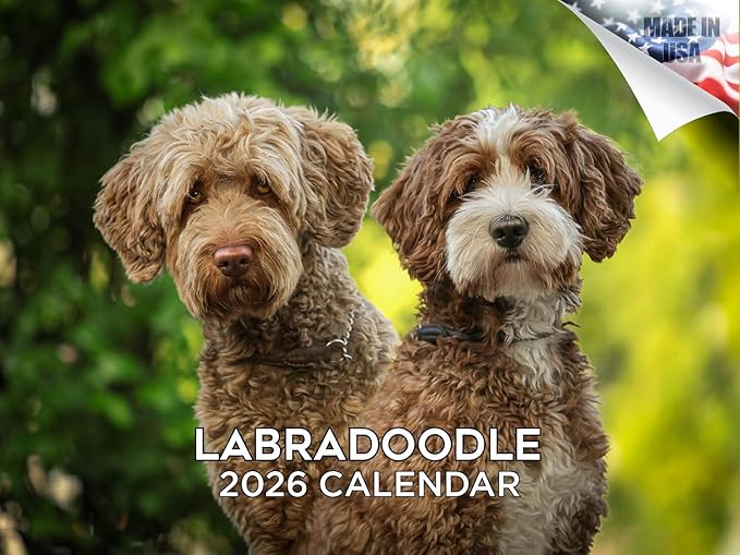 2025 2026 Labradoodle Calendar - Dog Breed Monthly Wall Calendar - 12" x 18" Open - Thick No-Bleed Paper - Giftable - Academic Teacher's Planner Calendar Organizing & Planning - Made in USA