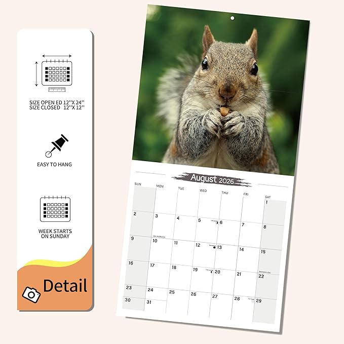 2026 Wall Calendar Squirrel Planner Calendar, Hangable Monthly Wall Calendar with Large Blocks for Organizing & Planning, Academic Schedule, Home, Office & family, Thick & Sturdy Paper (12"x24" Open)