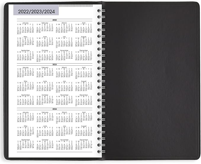 AT-A-GLANCE 2023 Weekly Planner, DayMinder, Hourly Appointment Book, 5" x 8", Small, Black (G20000)