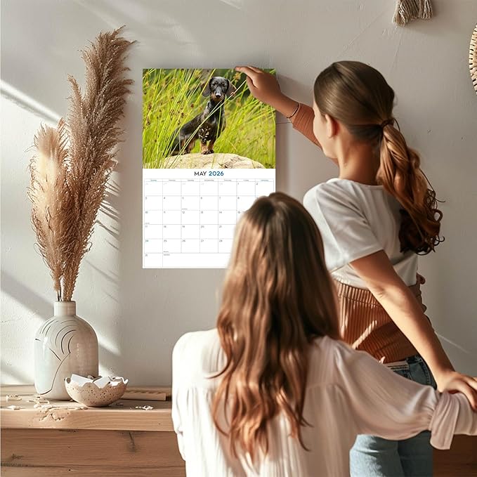 2025 2026 Dachshund Wirehaired Calendar - Dog Breed Monthly Wall Calendar - 12" x 18" Open - Thick No-Bleed Paper - Giftable - Academic Teacher's Planner Calendar Organizing & Planning - Made in USA