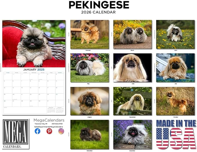 2025 2026 Pekingese Calendar - Dog Breed Monthly Wall Calendar - 12" x 18" Open - Thick No-Bleed Paper - Giftable - Academic Teacher's Planner Calendar Organizing & Planning - Made in USA