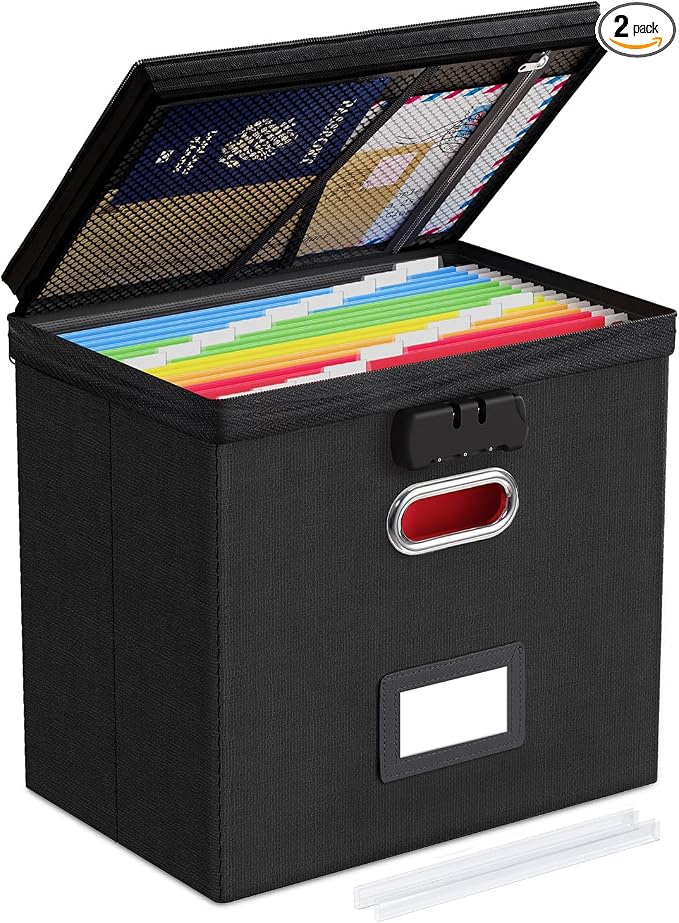 Oterri File Organizer Boxes with Lids, File Box with Mesh Pockets for Letter Size Folders, Lockable Zippers Filing Box for Home,Office, School (Black, Small-L-1 Pack Without Folders)