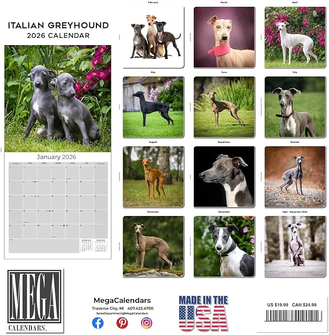 Italian Greyhound Calendar 2026 by MegaCalendars – Monthly Dog Breed Wall Calendar, Made in USA